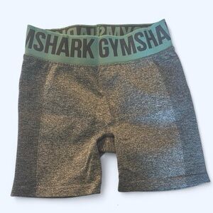 Gymshark Gray and Teal Biker Shorts